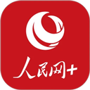 国产视频播放器